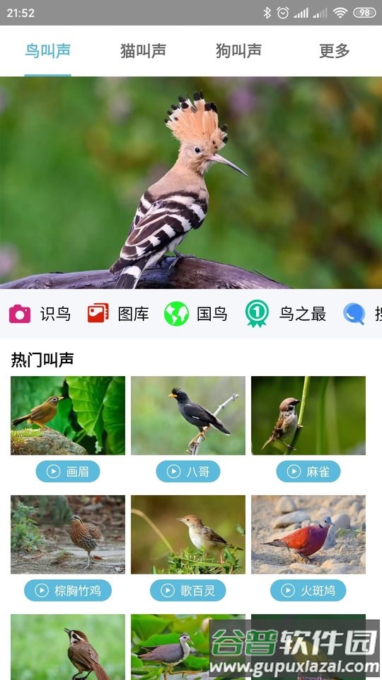 鸟叫声大全app截图3