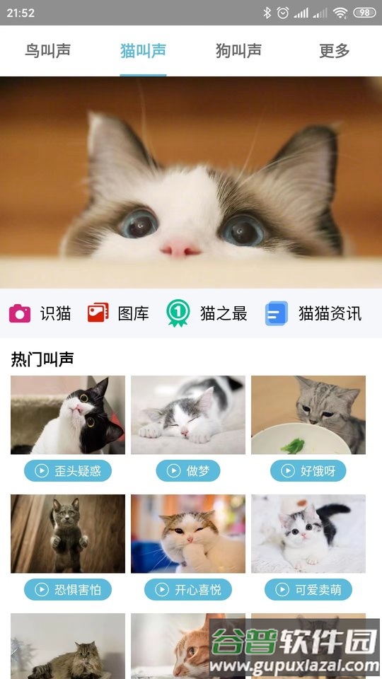 鸟叫声大全app截图4