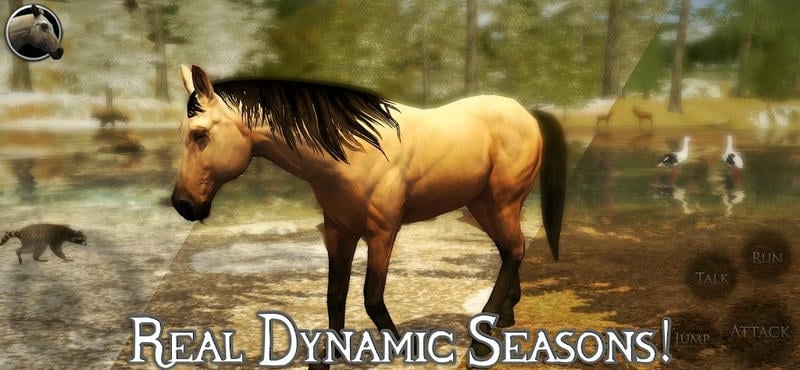 终极马模拟器2破解版无限经验(Ultimate Horse Simulator 2)截图1