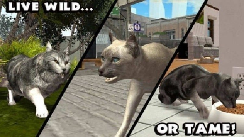 终极猫模拟器手游(UltCatSim)截图2