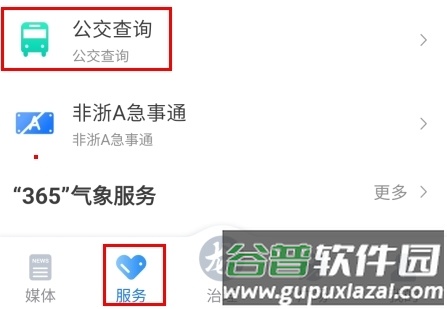 龙游通app8