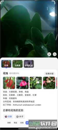 手机百度app旧版15