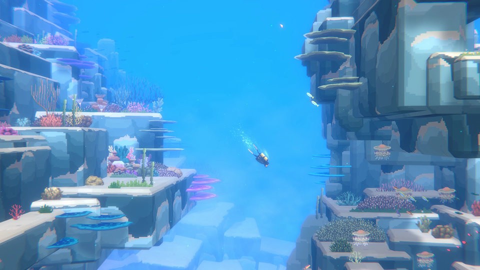 潜水员戴夫手游(Fish The Diver)截图2