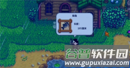 星露谷物语游戏图片3