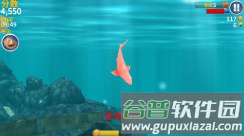 饥饿鲨进化如何得高分2