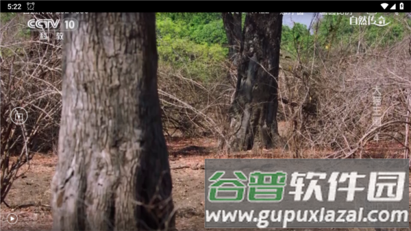 悠悠电视TV版图片1