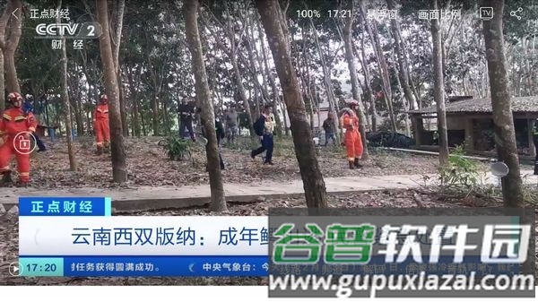悠悠电视app截图3