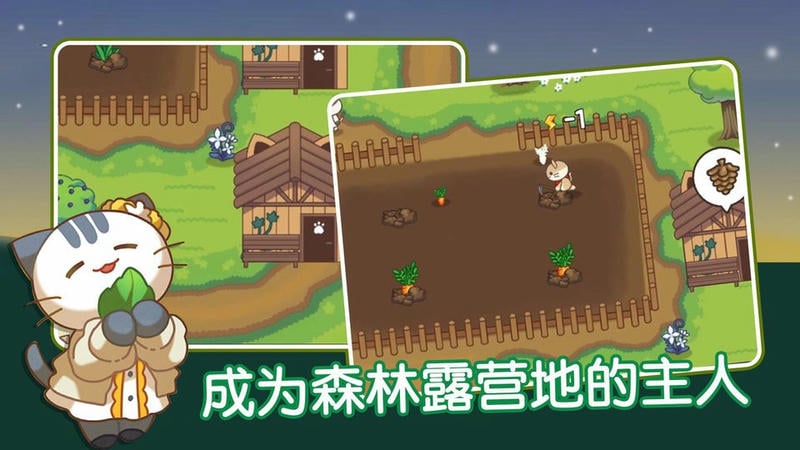 猫咪森林官方版
