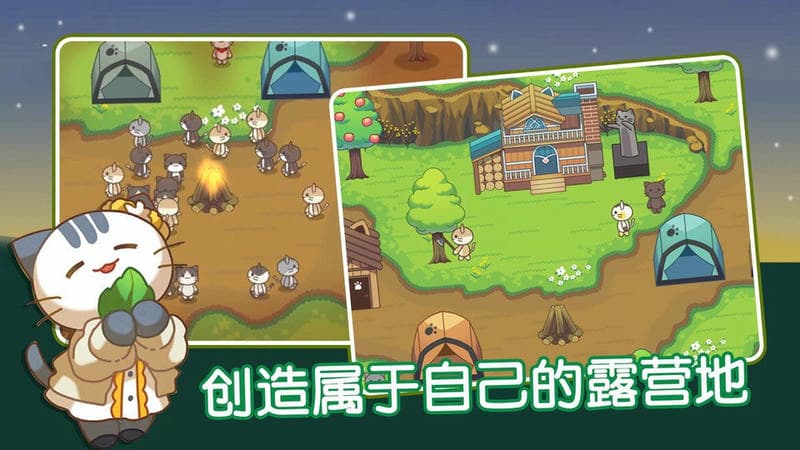 猫咪森林最新版截图1
