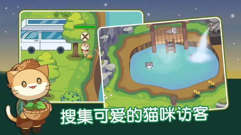 猫咪森林最新版截图2