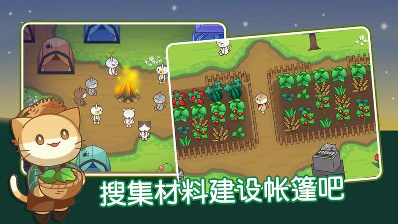 猫咪森林最新版截图3