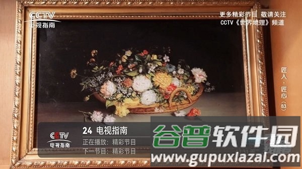 2025电视直播tv版apk截图4