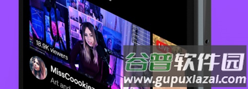 twitchtv中文版图片1