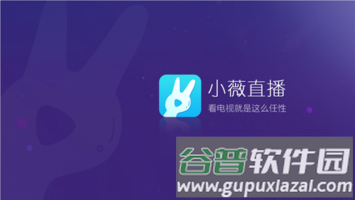 小薇直播1