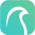 云鹊行appv4.3.0