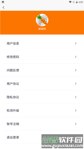 萝卜工资条软件特色
