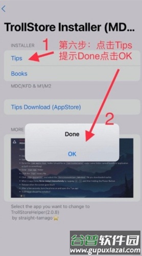 trollstore2巨魔商店截图10