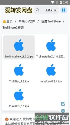 trollstore2官方版截图1