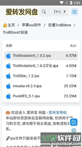 trollstore2官方版截图3