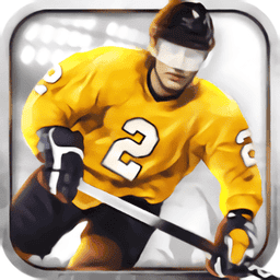 冰球3D手游(Ice Hockey)v2.0.2