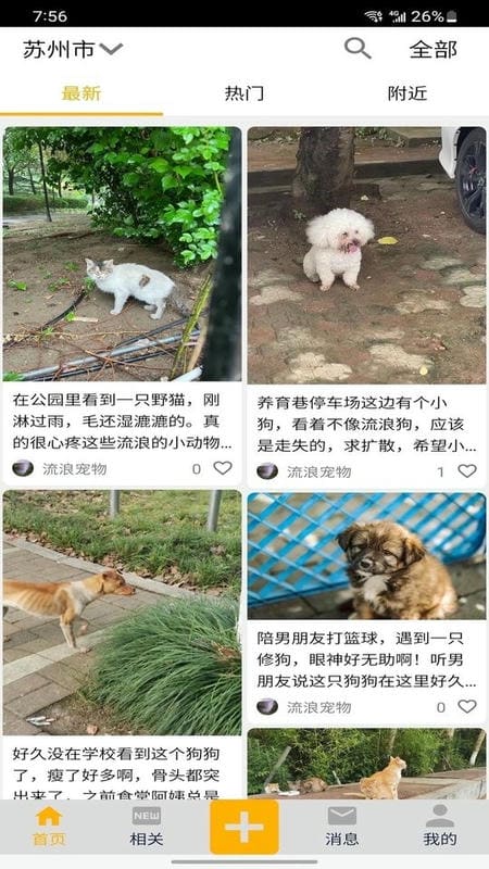 流浪宠物软件截图3