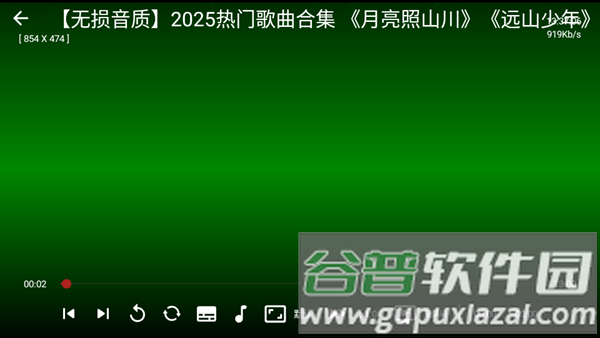 聚视音乐截图2