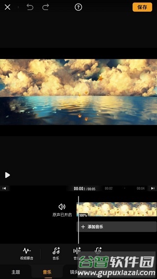 Viva Video