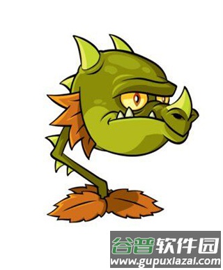 植物介绍龙草三兄弟配图1