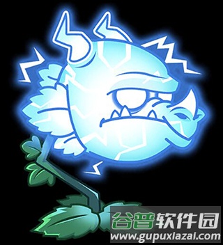 植物介绍龙草三兄弟配图3