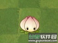 角色介绍攻略配图7