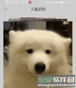 车学堂操作流程3