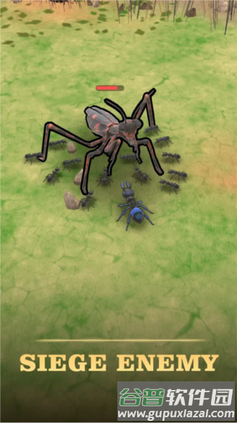 蚂蚁王国最新版截图3