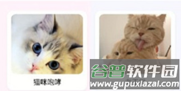 猫语翻译大师app软件特色