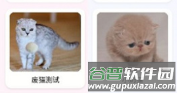 猫语翻译大师app软件功能