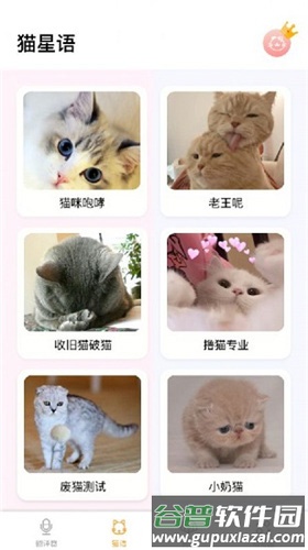 猫语翻译大师app截图2