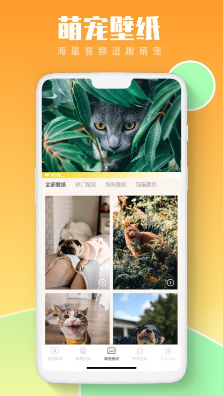 猫咪翻译助手app截图2