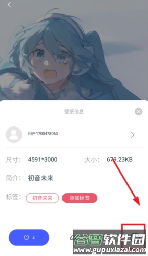 椰子壁纸官方 椰子壁纸图片5