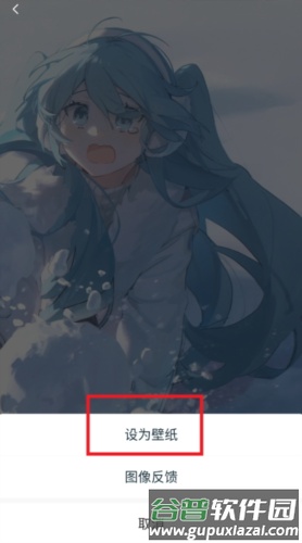 椰子壁纸官方 椰子壁纸图片6