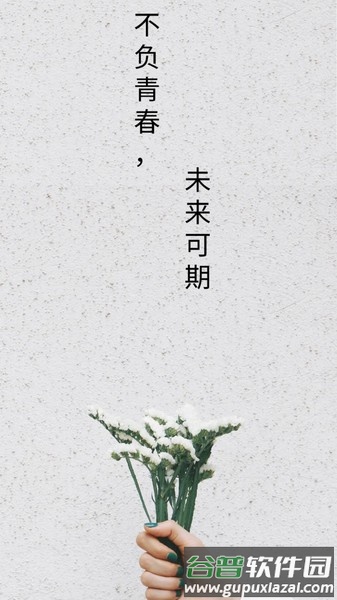 高考励志倒计时助手app截图4