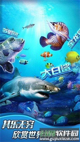 全民钓鱼2最新版2025截图4