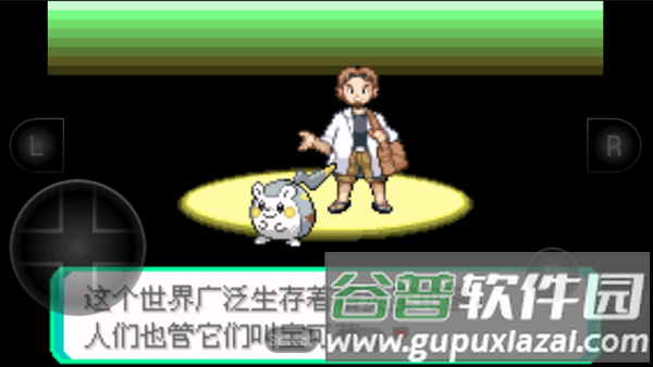 口袋妖怪究极绿宝石图片4