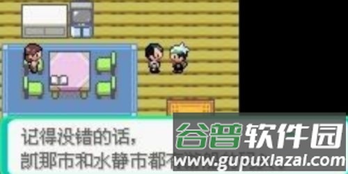 口袋妖怪究极绿宝石图片7