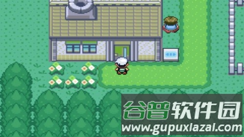 口袋妖怪究极绿宝石随机精灵手机版截图3