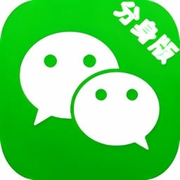 微信分身版官方正版v2.2.0.190704