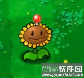植物大战僵尸废物版植物图鉴5