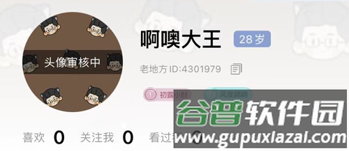 老地方app头像审核要多久