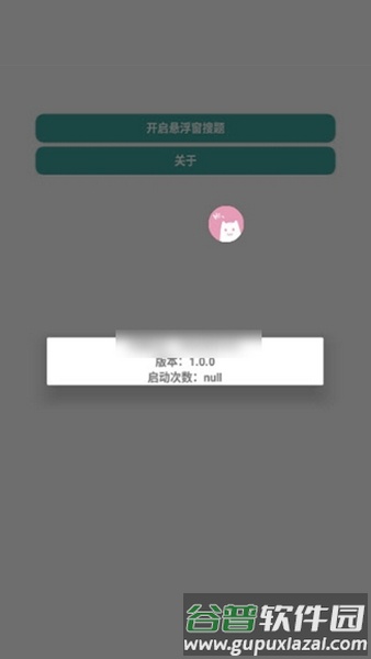 悬浮窗搜题软件截图4