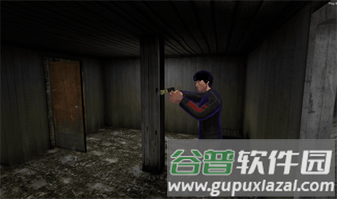 恐怖奶奶2联机版国际服截图2