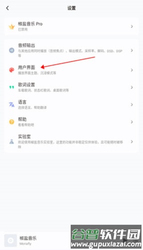 椒盐音乐2023版4