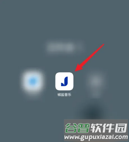 椒盐音乐app15